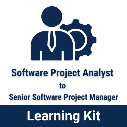 Software Project Analyst to Senior Software Project Manager