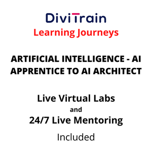 Artificial Intelligence (AI) Training – AI Apprentice to AI Architect